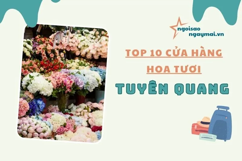 Top 10 cửa hàng hoa tươi Tuyên Quang đẹp và chất lượng 2025