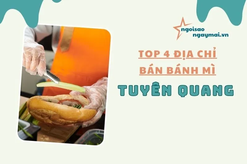 Top 4 Địa Chỉ Bán Bánh Mì Tuyên Quang Ngon Nhất 2025