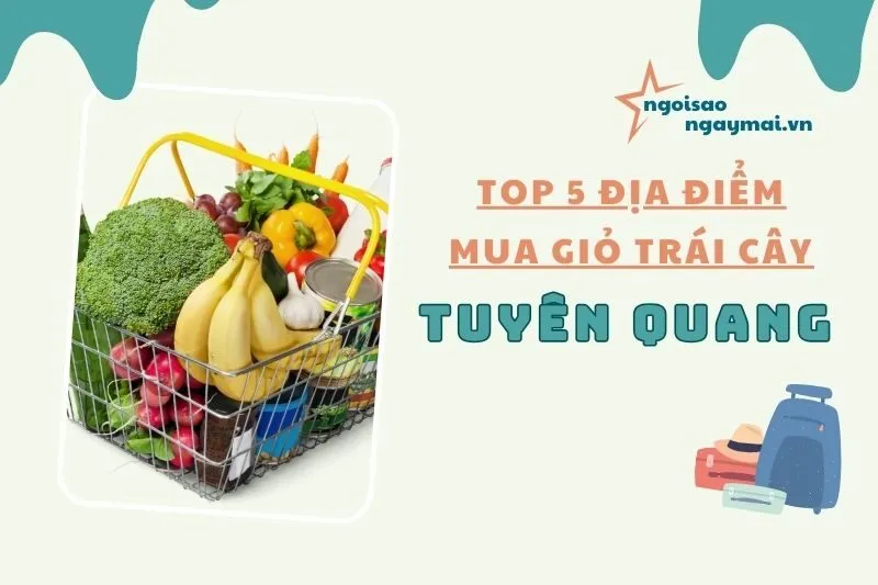 Top 5 Địa Điểm Mua Giỏ Trái Cây Tuyên Quang Chất Lượng Cao 2025