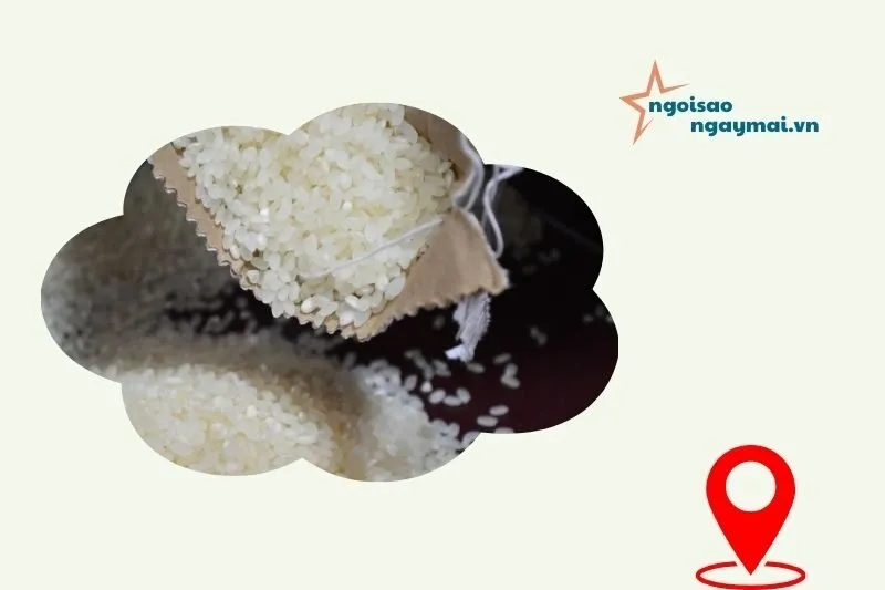 Cơ sở gạo Huệ Mỳ (TP. Tuyên Quang)