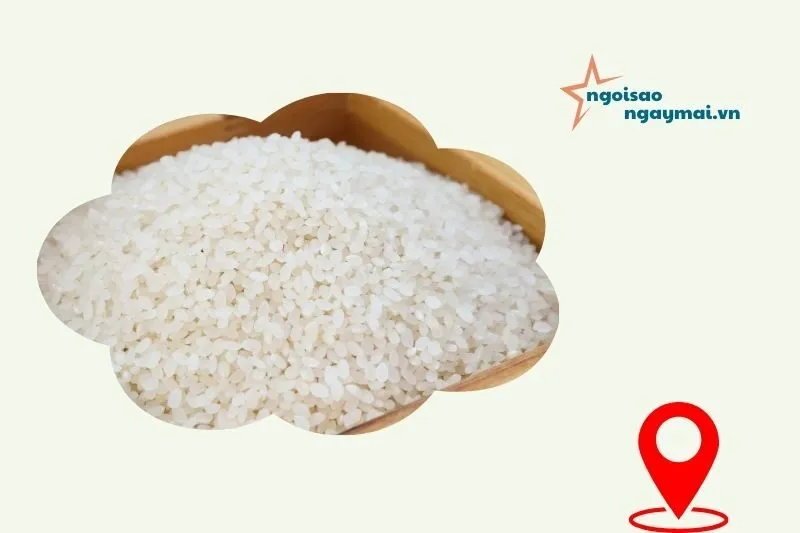 Công ty TNHH Sao Việt Tuyên Quang