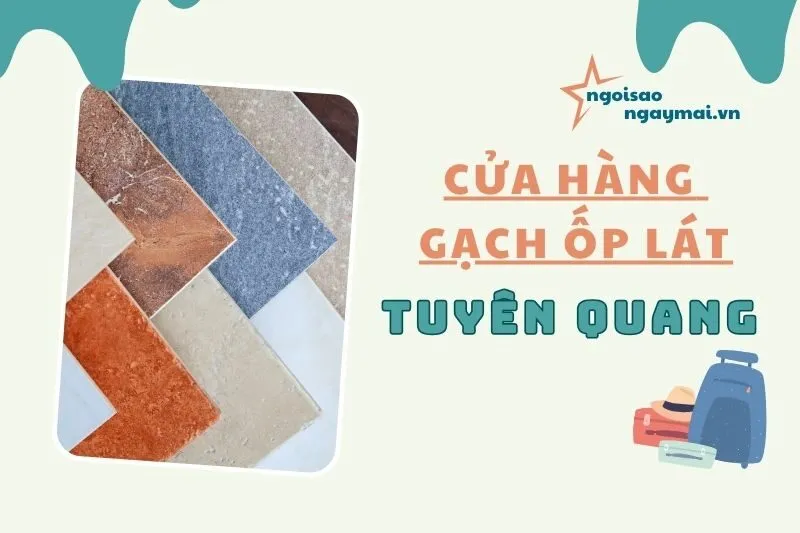 Cửa hàng gạch ốp lát Tuyên Quang 2025 - Top Địa Chỉ Uy Tín