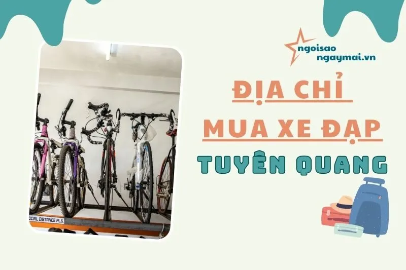 Địa chỉ mua xe đạp Tuyên Quang 2025 – Top 5 cửa hàng uy tín