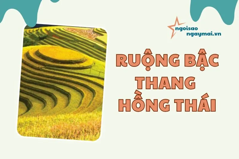Khám Phá Ruộng Bậc Thang Hồng Thái Tuyên Quang 2025 – Thiên Đường Du Lịch