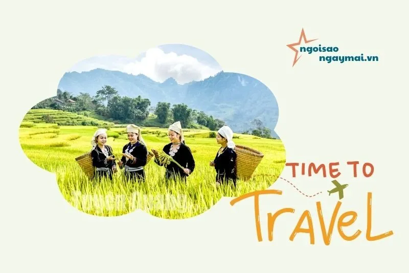 Tham Gia Lễ Hội Mùa Vàng Hồng Thái