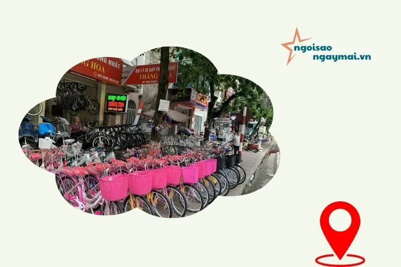 Xe đạp Thắng Hoa